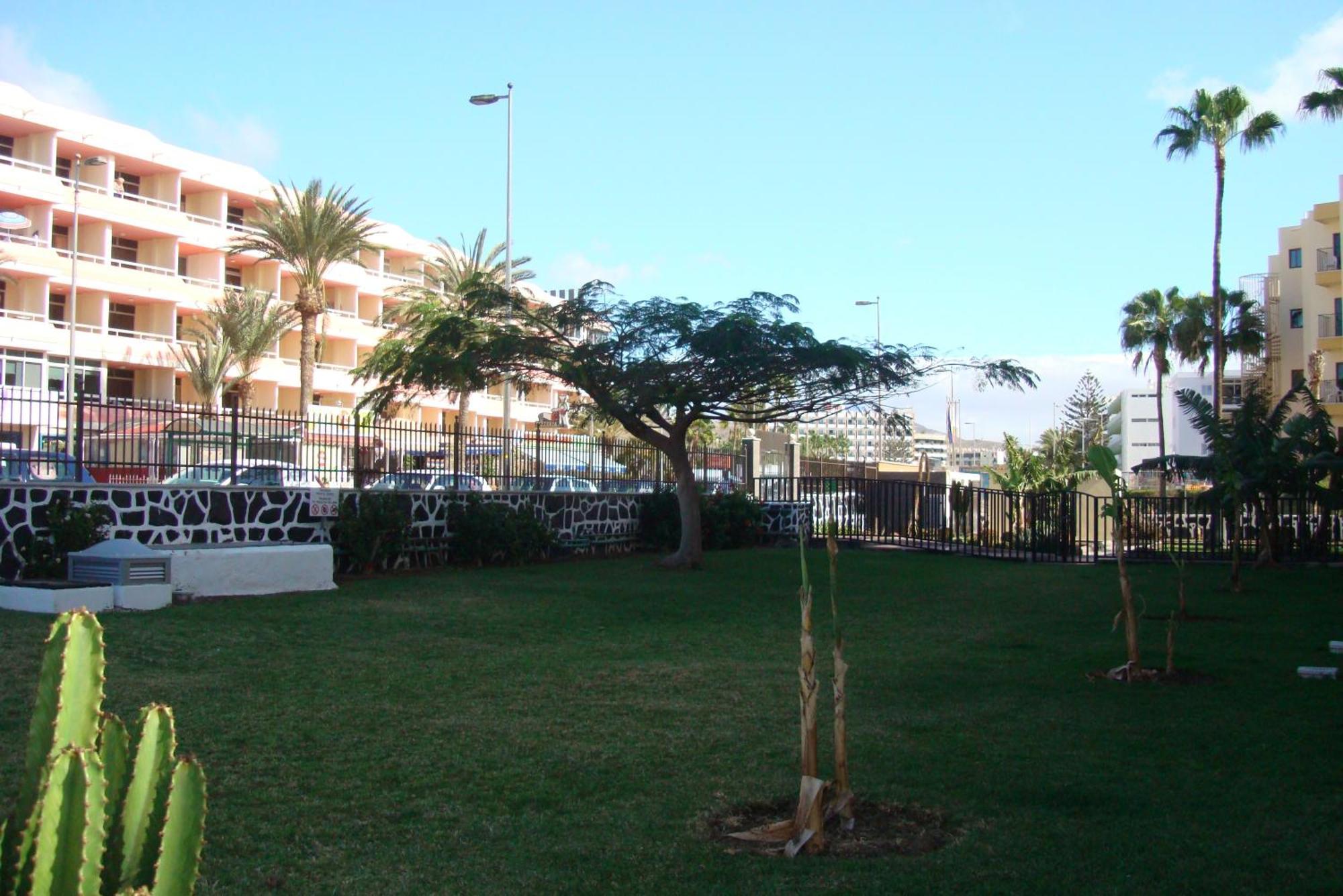 Los Cactus Playa del Inglés Zewnętrze zdjęcie